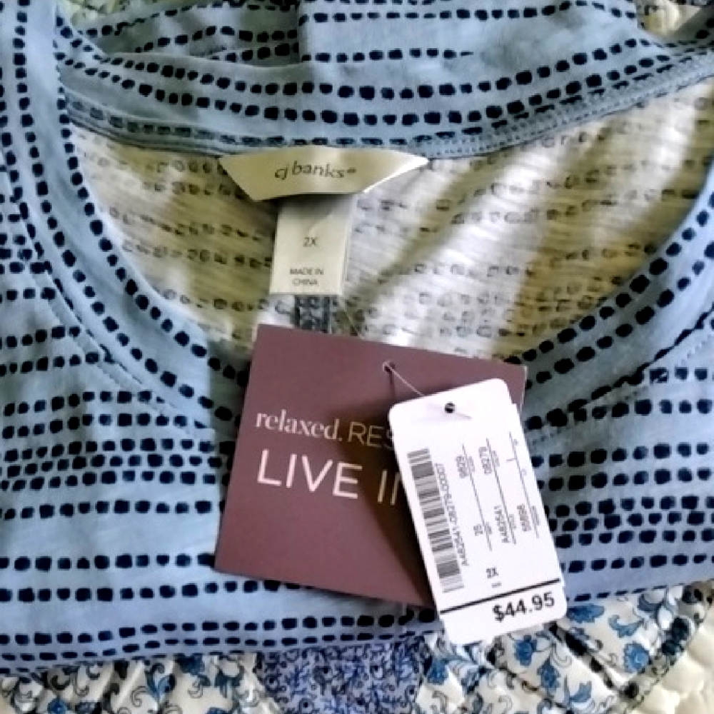 CJ Banks Blue and White Relaxed Top